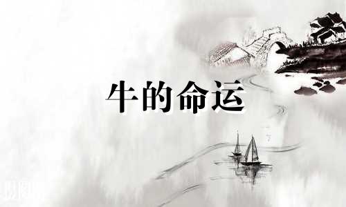 牛的命运 十二生肖中牛的运势