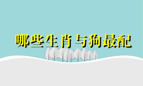 哪些生肖与狗最配 属狗结婚生肖的生肖