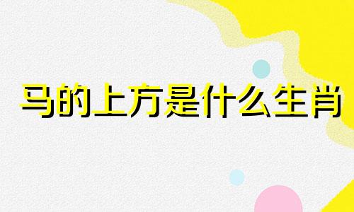 马的上方是什么生肖 马的后面是什么生肖