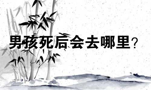 男孩死后会去哪里?