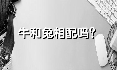 牛和兔相配吗？  牛和牛相配吗？