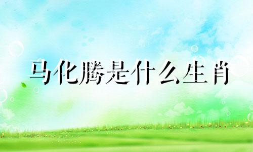 马化腾是什么生肖 从古至今都享有盛誉的生肖
