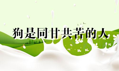 狗是同甘共苦的人 同甘共苦是什么意思，是什么生肖