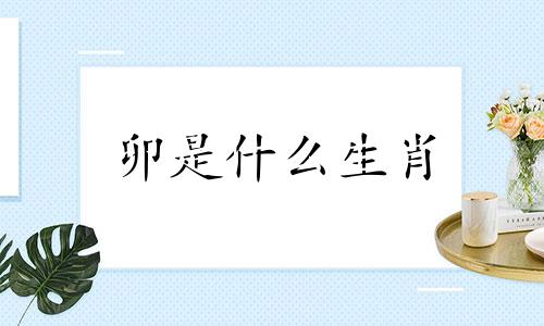 卯是什么生肖 卯代表十二生肖中的生肖