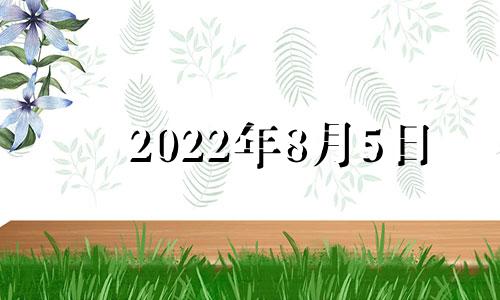 2022年8月5日 6月27日出生的新生儿名字八字五元素