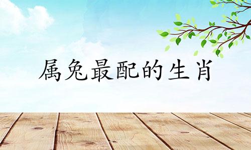 属兔最配的生肖 属兔是什么生肖和最好朋友的生肖