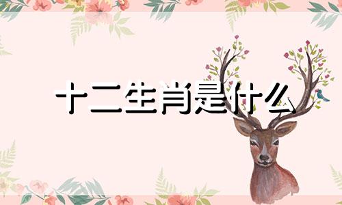 十二生肖是什么 12生肖