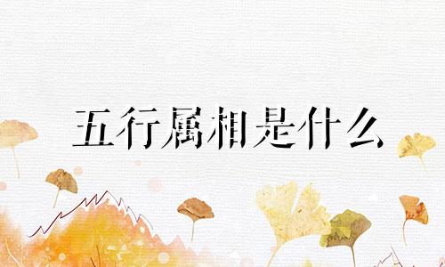 五行属相是什么 五行属相与十二生肖