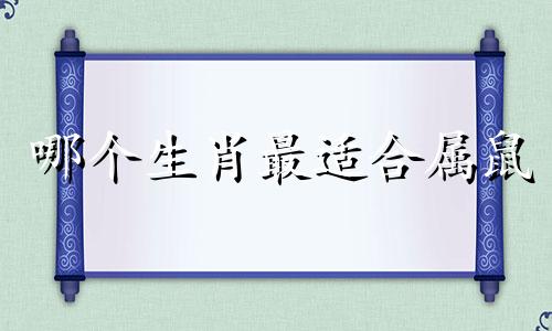 哪个生肖最适合属鼠 十二生肖中哪个生肖最适合属鼠
