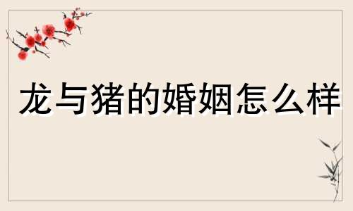 龙与猪的婚姻怎么样 生肖龙与猪