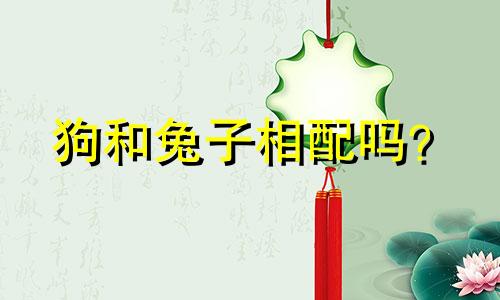 狗和兔子相配吗？  狗和兔子是相配的