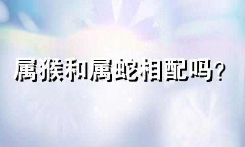 属猴和属蛇相配吗？  蛇是十二生肖中的灵性生肖