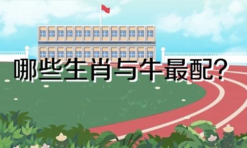 哪些生肖与牛最配? 十二生肖与牛相配