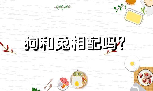 狗和兔相配吗？  属兔和属狗相配吗？