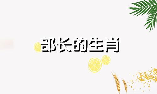 部长的生肖 部长的生肖是什么