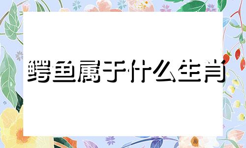 鳄鱼属于什么生肖 为什么土耳其生肖有鳄鱼
