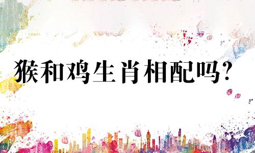猴和鸡生肖相配吗？  鸡和猴相配吗？