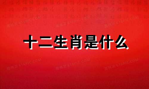 十二生肖是什么 目前有多少个生肖