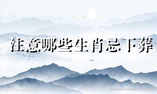 注意哪些生肖忌下葬 白生肖的人忌哪些生肖