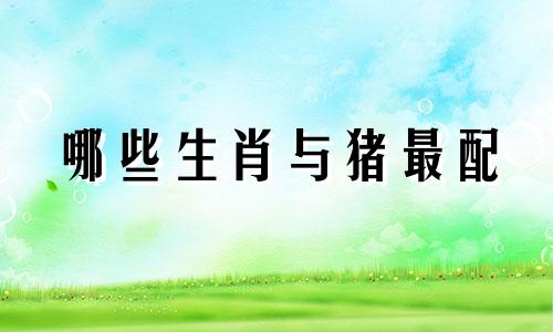 哪些生肖与猪最配 与猪最配的生肖