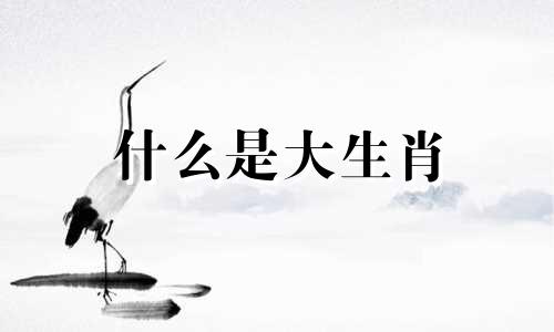 什么是大生肖 大生肖
