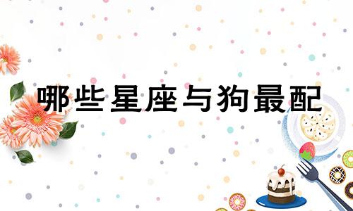 哪些星座与狗最配 十二生肖与狗最配