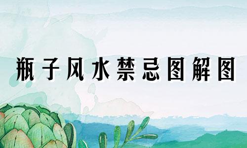 瓶子风水禁忌图解图 风水中汽车装饰十大禁忌