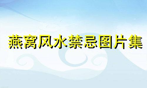 燕窝风水禁忌图片集 燕窝的风水意义