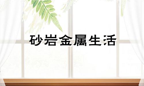 砂岩金属生活 综合财富 财稳