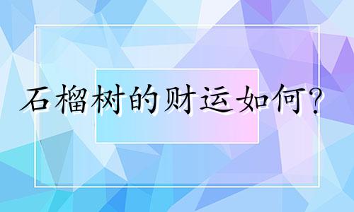 石榴树的财运如何？