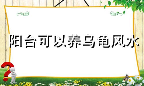 阳台可以养乌龟风水