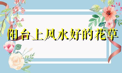 阳台上风水好的花草