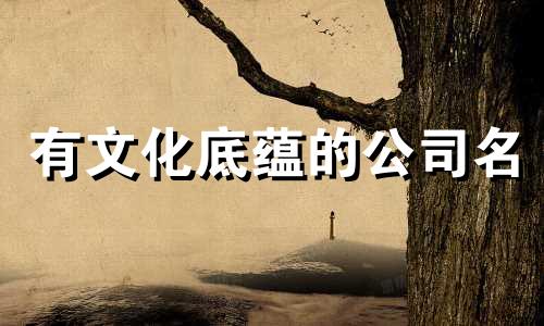 有文化底蕴的公司名 有风格有风格的公司名