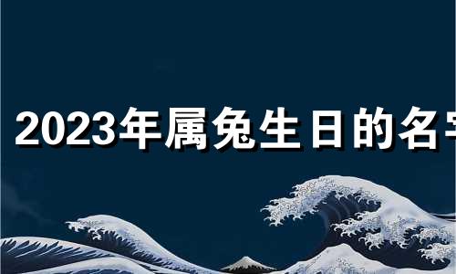 2023年属兔生日的名字 今年如何为属兔的人取名字