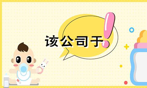 该公司于 1987 年注册，标志为 Rabbit。属兔的公司的合适名称是什么？