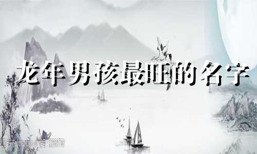 龙年男孩最旺的名字