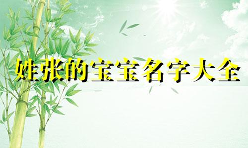 姓张的宝宝名字大全