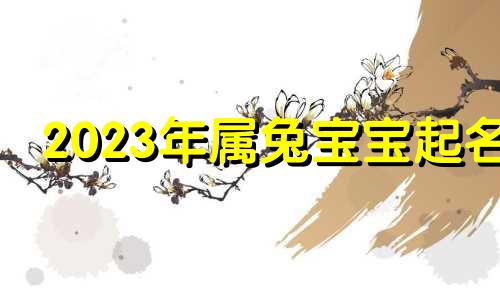 2023年属兔宝宝起名 2023年生肖兔水生肖起名