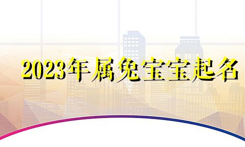 2023年属兔宝宝起名 2023年属兔的吉祥名字