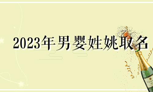 2023年男婴姓姚取名