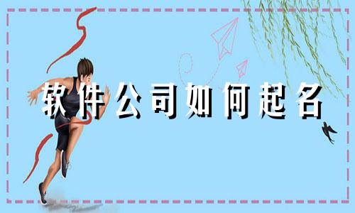 软件公司如何起名 软件公司如何起名