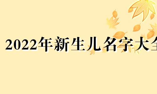 2022年新生儿名字大全