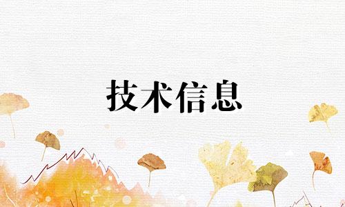 技术信息 公司名称 技术公司名称