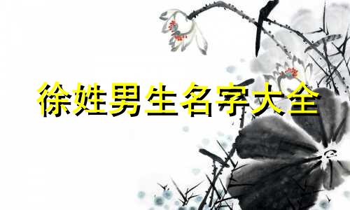 徐姓男生名字大全 温柔优雅的徐姓男生名字大全2022年生肖属虎,宜用根。