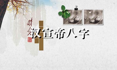 汉宣帝八字 皇帝生辰八字