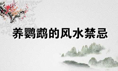 养鹦鹉的风水禁忌 鸟笼摆件高清图片及风水禁忌