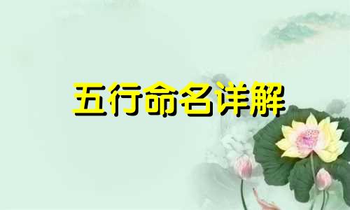 五行命名详解 俞飞鸿出生年月日八字