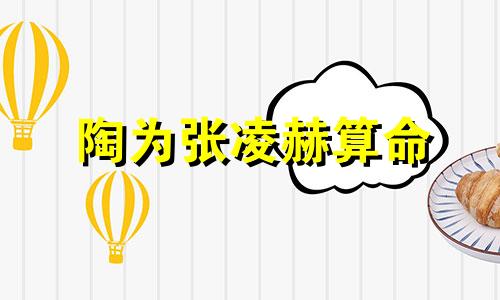 陶为张凌赫算命 陶子的生日八字