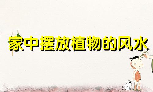 家中摆放植物的风水 种植橡树的风水禁忌有哪些