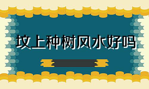 坟上种树风水好吗 坟前种柏树的风水禁忌